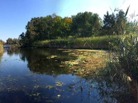 ділянка за адресою с. Матвіївка, 