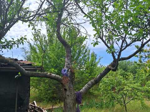 будинок за адресою десятая