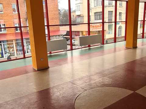 комерційна за адресою Вайсера вул., 17/2
