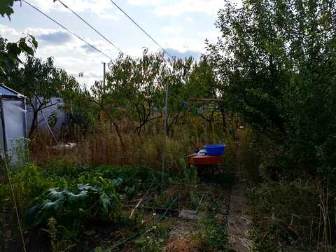 дом по адресу Беркоса