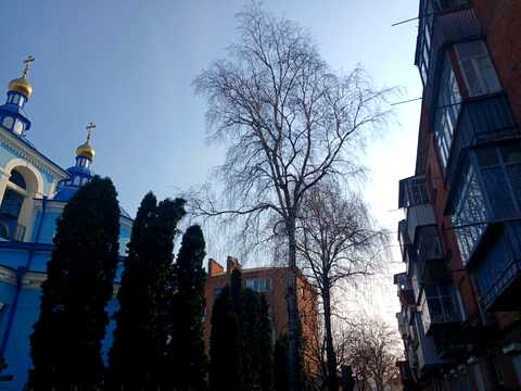 квартира за адресою Вайсера вул., 15