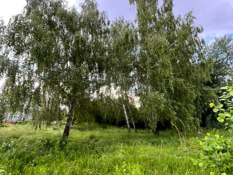 участок по адресу Конча Заспа