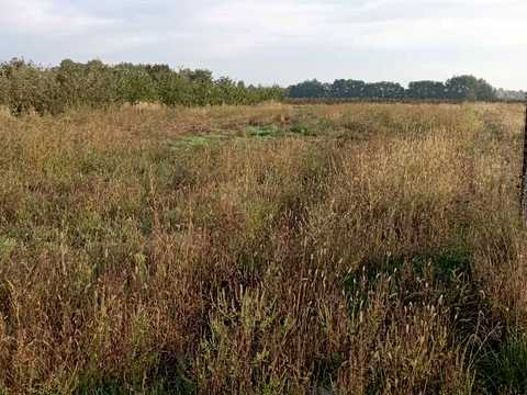 ділянка за адресою с. Степанки, 