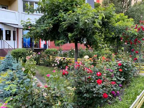 квартира за адресою Юлії Здановської вул. (Ломоносова), 81-Б