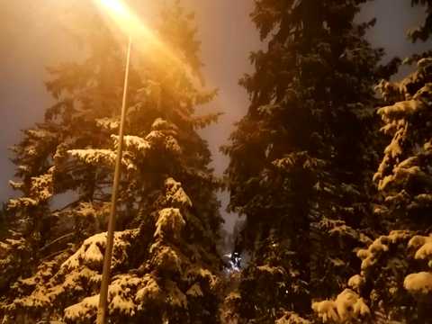 квартира по адресу Пилипа Козицького ул., 5/1