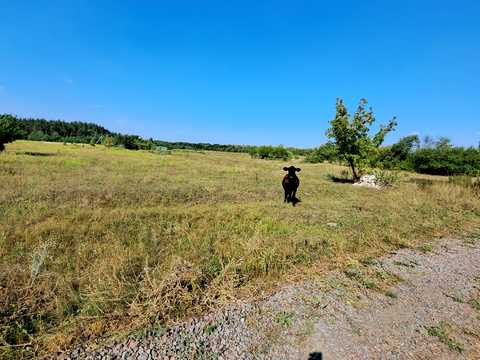 участок по адресу Степна