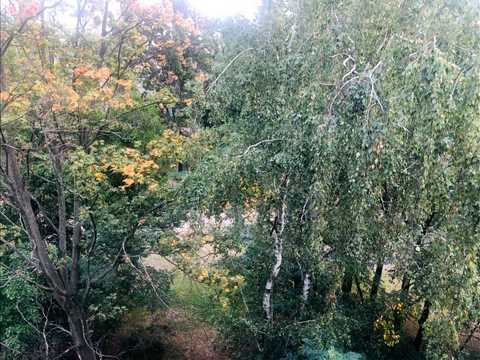 квартира по адресу Остафия Дашкевича ул. (Курнатовского), 17-Б