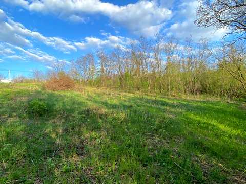 ділянка за адресою Лісова