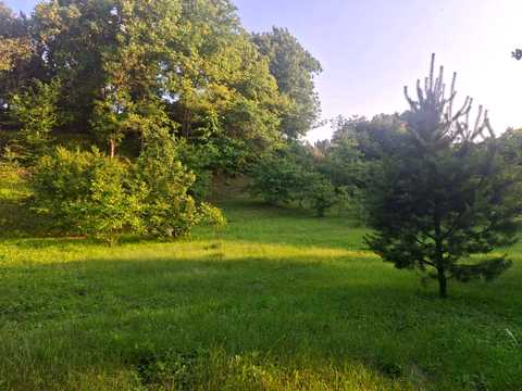 ділянка за адресою Клубна, 33