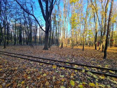 квартира за адресою Парково-Сирецька вул. (Тимофія Шамрила), 4-А