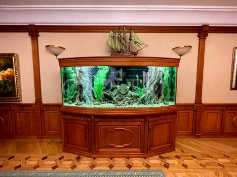 коммерческая по адресу Загоровская ул. (Багговутовская), 17