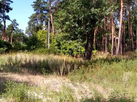 участок по адресу Центральная, 1