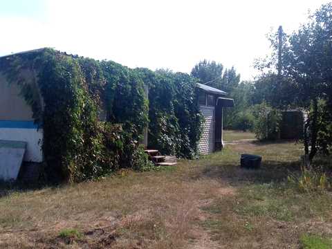 дом по адресу Вільне
