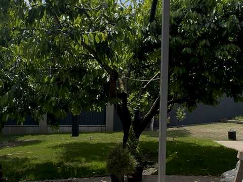 будинок за адресою Академіка Вільямса вул.