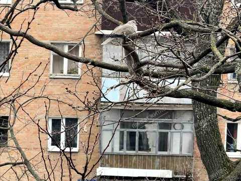 квартира за адресою Капітана Володимира Кісельова вул. (Зигіна), 29