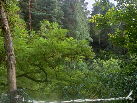 будинок за адресою Виноградна вул., 18