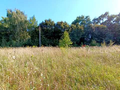 участок по адресу Центральна ул.