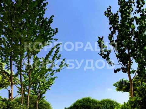 квартира по адресу Провулок Парковий, 2