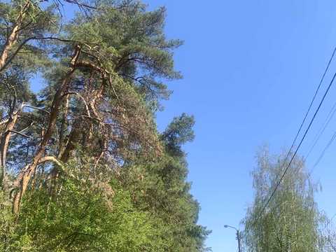 ділянка за адресою Північна вул.