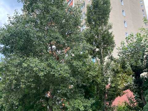 квартира по адресу Милославская ул., 12