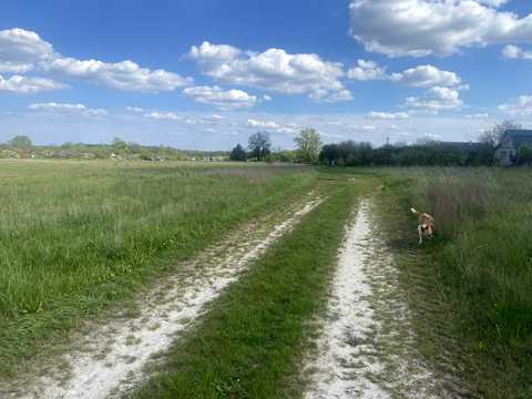 ділянка за адресою 
