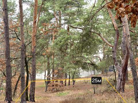 ділянка за адресою Львівська, 36