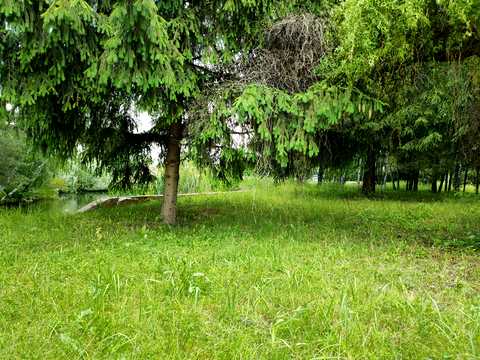 ділянка за адресою Центральна вул., 777
