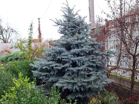 будинок за адресою Луговий пр