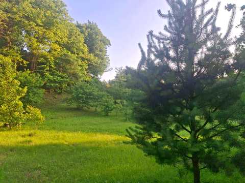 ділянка за адресою Клубна, 33