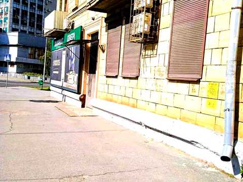 коммерческая по адресу Гагарина просп. (Гагаріна), 1