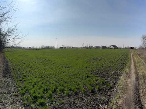 ділянка за адресою с. Дрозди, Кільцева