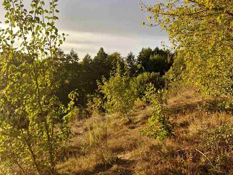 будинок за адресою с. Лубське, Лубська, 1
