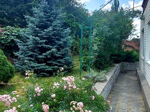 дом по адресу Центральна ул.