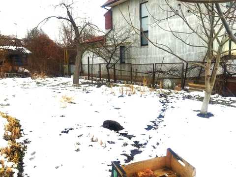 ділянка за адресою Чернівці, Смотрицька вул.