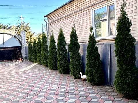 дом по адресу Комарова, 41