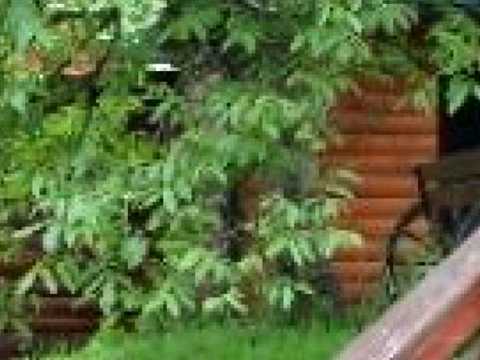 будинок за адресою Камянка, 48