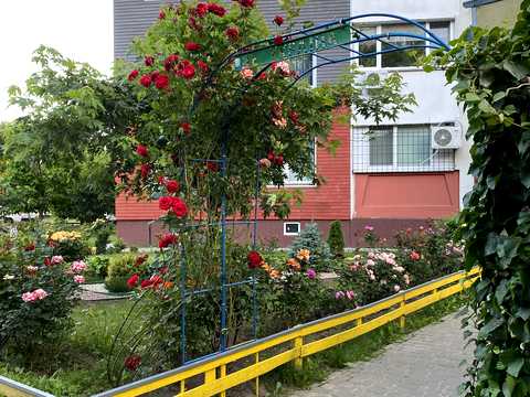 квартира за адресою Юлії Здановської вул. (Ломоносова), 81-Б