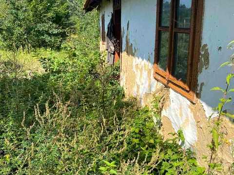 участок по адресу антоновича