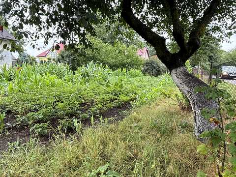 ділянка за адресою Героїв Миколаєва вул.