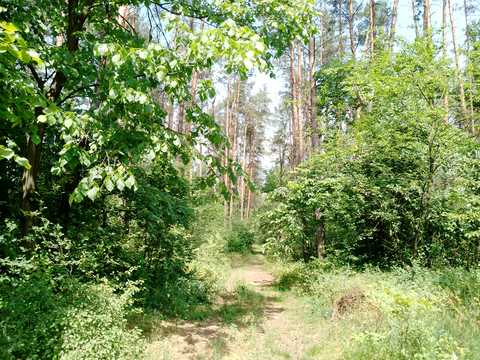 участок по адресу Синеозёрная ул.