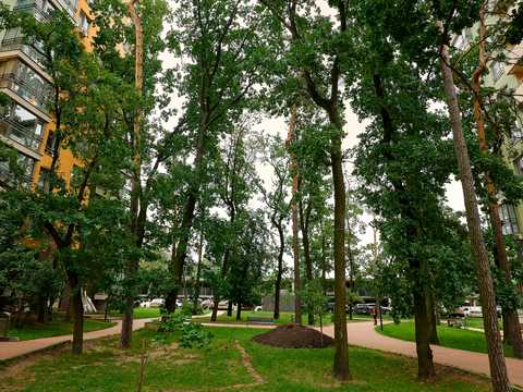 квартира за адресою Анатолія Петрицького вул., 15-А