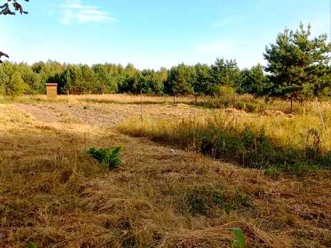 ділянка за адресою Панаса Мирного, 53