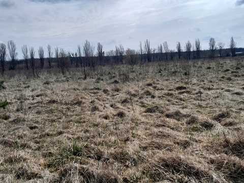ділянка за адресою Славне