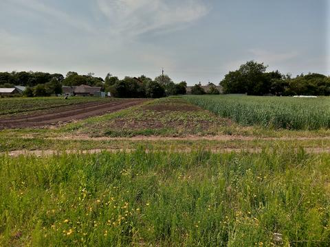 ділянка за адресою Нове село