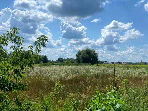 ділянка за адресою Городня, 23