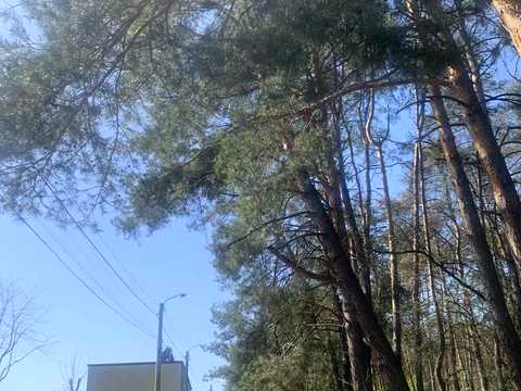 дом по адресу Північна ул.