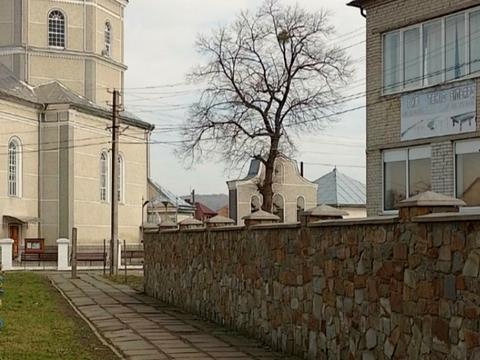 комерційна за адресою Андрея Шептицького вул., 5