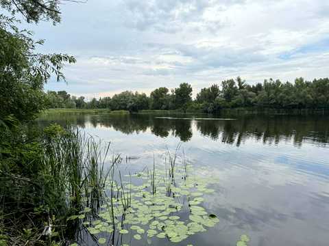 участок по адресу зеленая