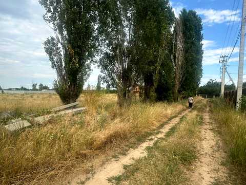 ділянка за адресою Ягодна