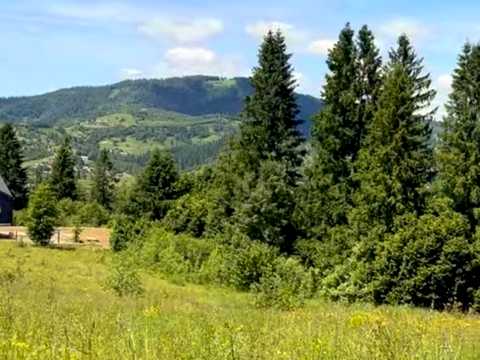 ділянка за адресою Лесі Українки